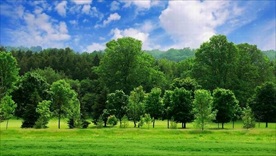 壁纸 电脑桌面 风景 自然景观