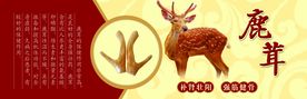 鹿茸广告宣传