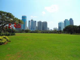 城市绿地