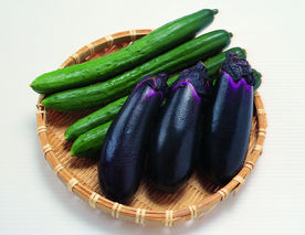 茄子和黄瓜