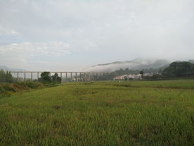 秋天田野