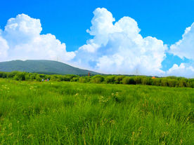 草原风景