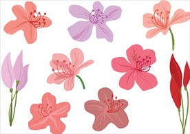矢量花朵