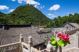 普化寺