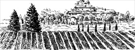 土