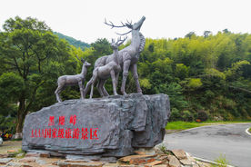 长沙黑麋峰国家森林公园