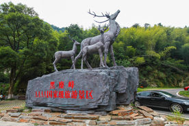 长沙黑麋峰国家森林公园