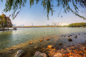上海世纪公园