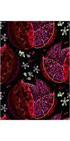 手绘水果刺绣矢量图下载