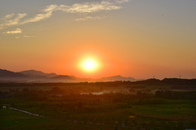 夕阳红