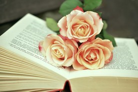 书本上的鲜花