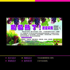葡萄海报
