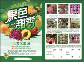 水果传单 水果单页 水果店开业