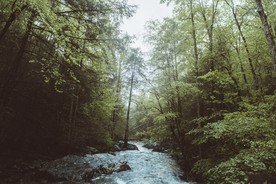 深山里的河流美景