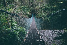 摇晃的桥梁