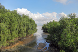 深圳湾公园