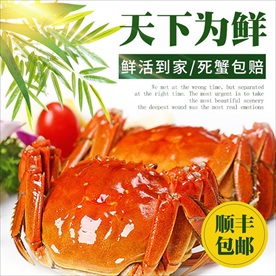 简约大闸蟹主图直通车钻展电商淘