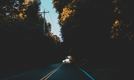 树荫下的道路
