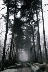 深山里的风景