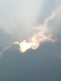 一缕阳光