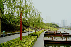 千灯湖