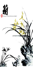 兰花