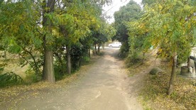 乡村美景