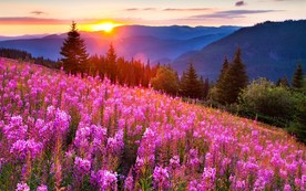 夕阳下的大山风景