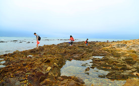 长坡青葛海滩