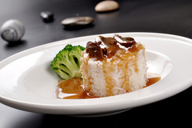 鱼翅捞饭