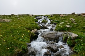 流水