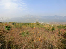 嵩山秋景