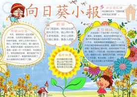 向日葵小报