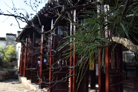 网狮园
