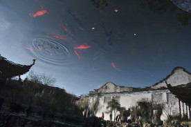 网狮园