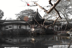 网狮园