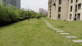 草坪草地