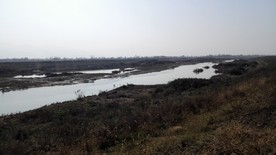 河流风景
