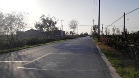 夕阳下的道路风光