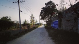 夕阳下的道路风光