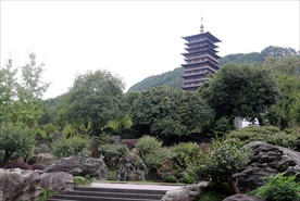 根宫佛国