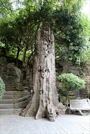 根宫佛国