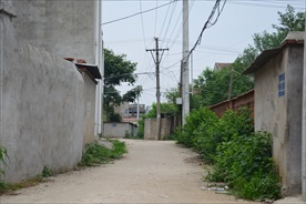 村子的一条小路
