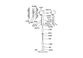 落地电风扇的总体结构