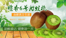 堰香6号猕猴桃banner图