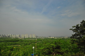 绿色公园