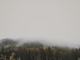 云雾下的高山美景