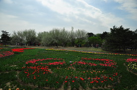 公园花圃