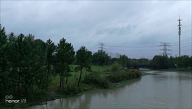 公园里的小河流
