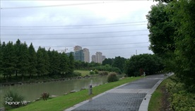 公园里靓丽的风景
